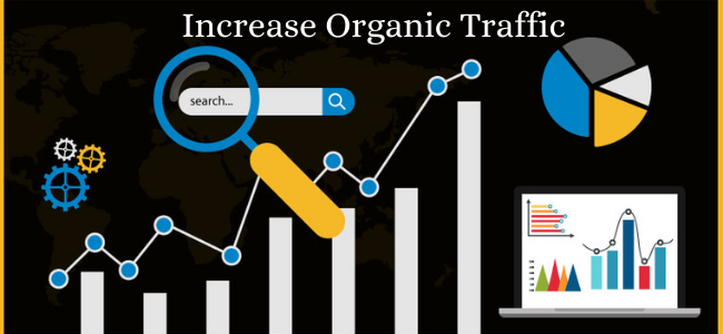 Best Backlink Service