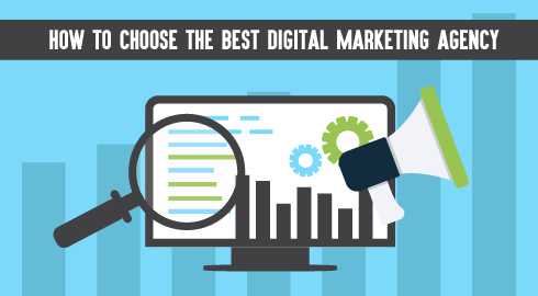 Digital Marketing Expert